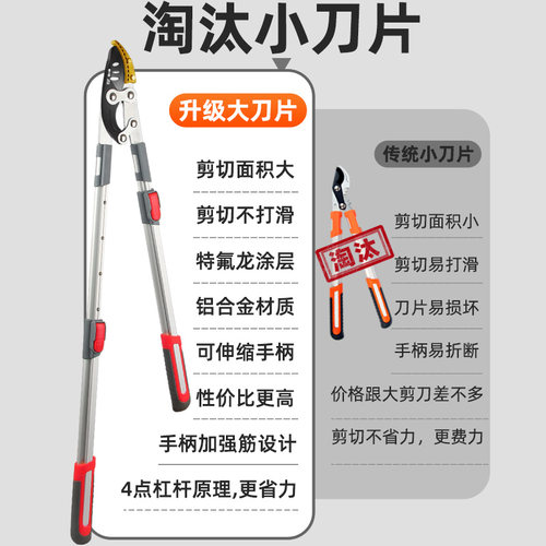 园林修枝剪树枝专用剪刀果树粗枝剪大剪刀园艺修枝修剪树枝剪刀