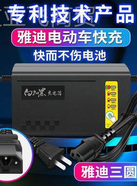 江电珂电速动器车充电器/白加黑快DNB充电 铅酸和石墨烯池组专用