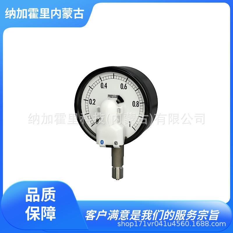 NKS长野计器压力计BE1(K)BR02BR03BR90DG95DG96DG96(K)