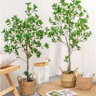 仿真绿植马醉木室内客厅摆件假枝叶绿植落地装饰仿真植物盆栽