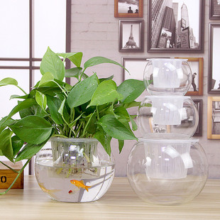 创意桌面水培瓶植物透明玻璃花瓶绿萝花盆鱼花共养缸水养摆件器皿