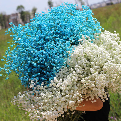 云南工厂直发满天星鲜花花束家居装饰摆设摆件真花办公室客厅插花