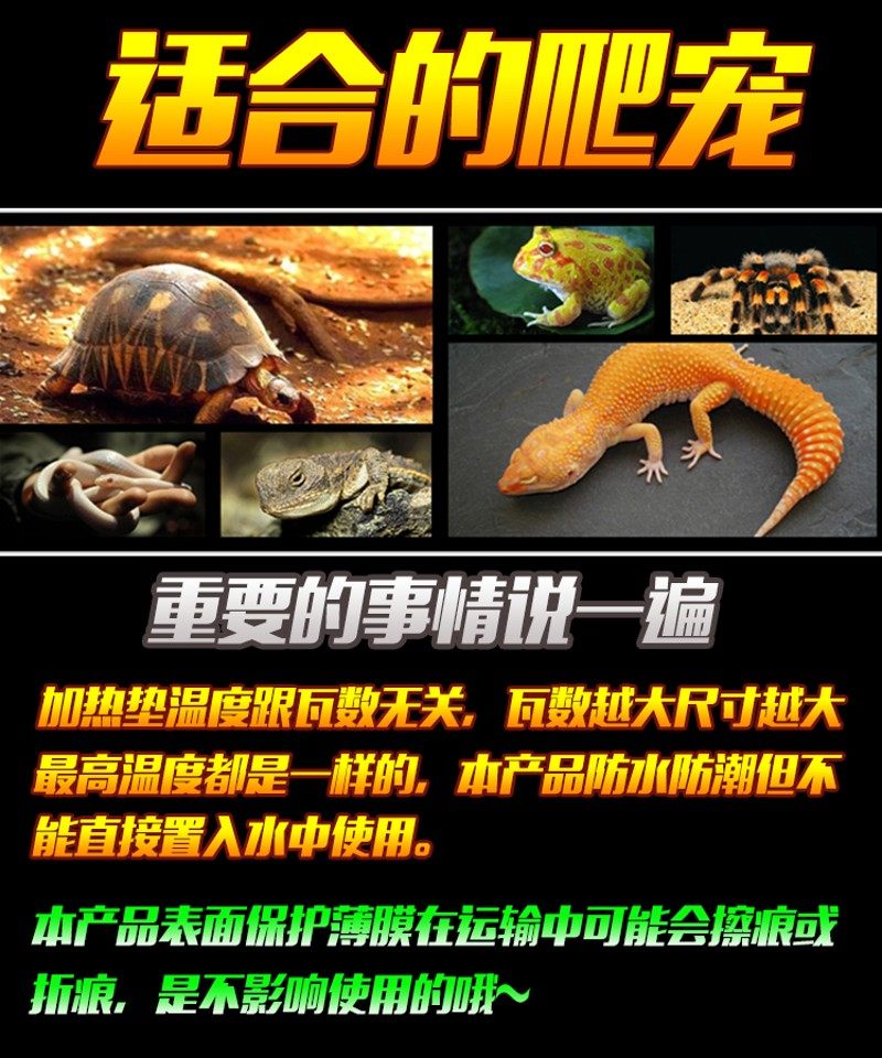 爬虫加热垫爬宠乌龟蜥蜴守宫蛇温控刺猬仓鼠宠物加热片加温保温片,宠物/宠物食品及用品,爬宠缸/箱,淘宝优惠券,粉丝福利购,淘宝优惠卷