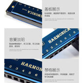 24孔单复音C调口琴儿童无毒初学者成人小学初中生男女孩10孔118