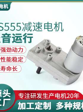 24V 20rpm  RS555方型蜗轮蜗杆减速电机