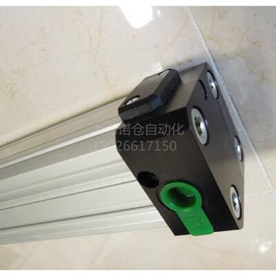 纽迈司气缸1605.40.800.01.M意大利进口PNEUMAX无杆气缸