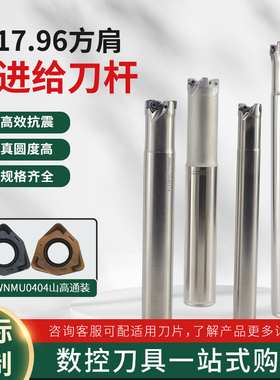 R217.96快进给刀杆双面抗震铣刀杆山高通装WNMMU040308铣刀片刀粒