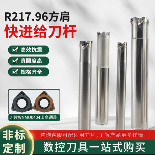 R217.96快进给刀杆数控铣刀杆
