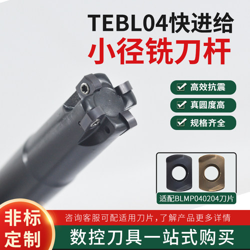TEBL04快进给双面铣刀杆