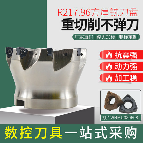 R217.96快进给数控铣刀盘