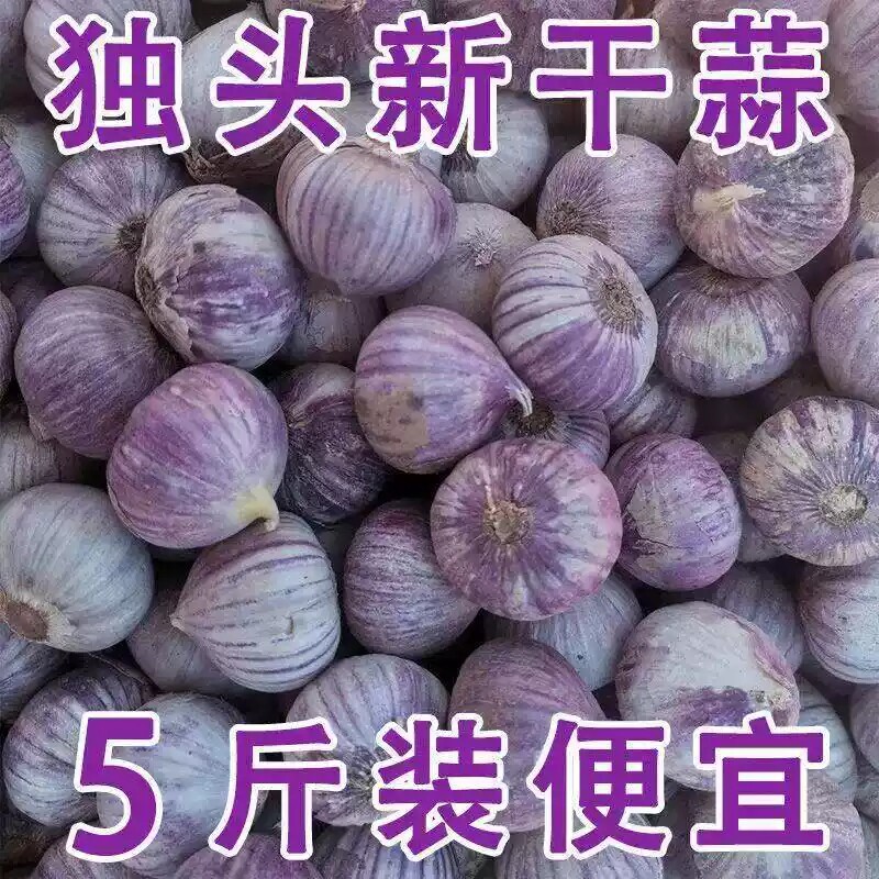 2026新云南独头干蒜紫皮蒜头紫皮独蒜红珍珠辣蒜蔬菜当季大蒜头