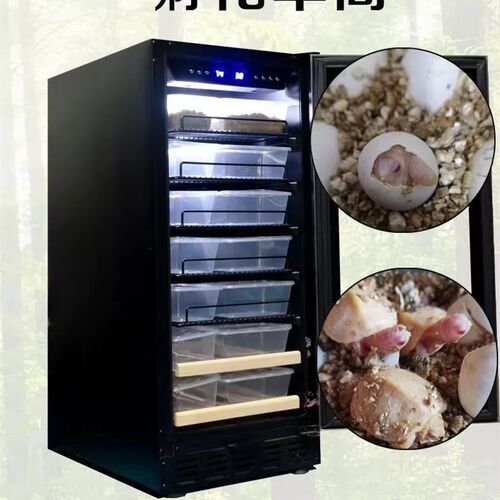 优盛达孵化箱乌龟守宫鬃狮孵化器蚂蚁甲虫爬虫恒温箱蛇类冬眠柜