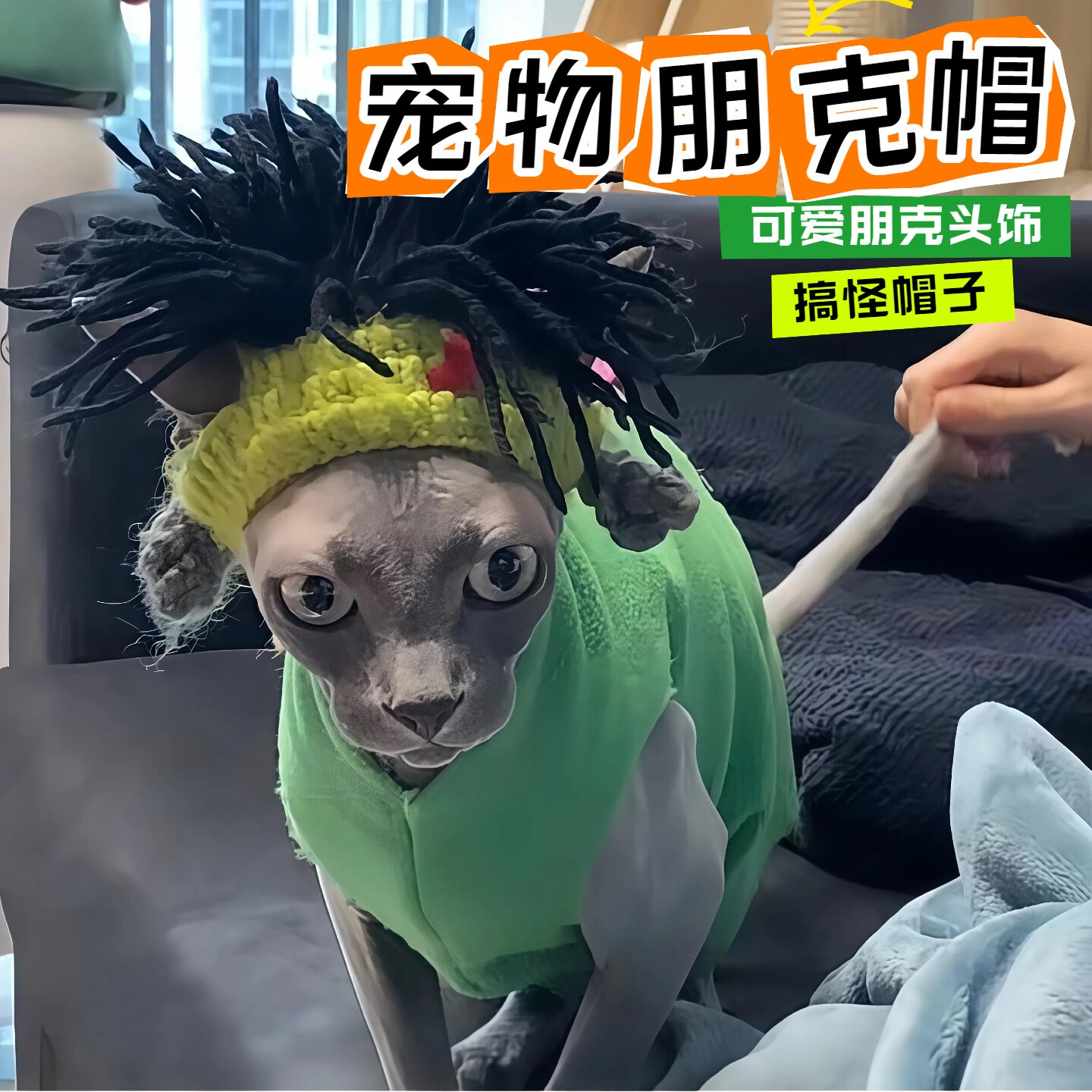 猫咪搞笑帽子无毛猫斯芬克斯头套狗狗德文朋克雷鬼摇滚风装饰可爱