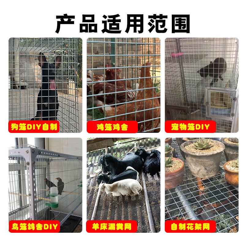 加粗镀锌铁丝焊接网片家用狗笼鸟笼兔笼钢丝网格养殖围栏防护网