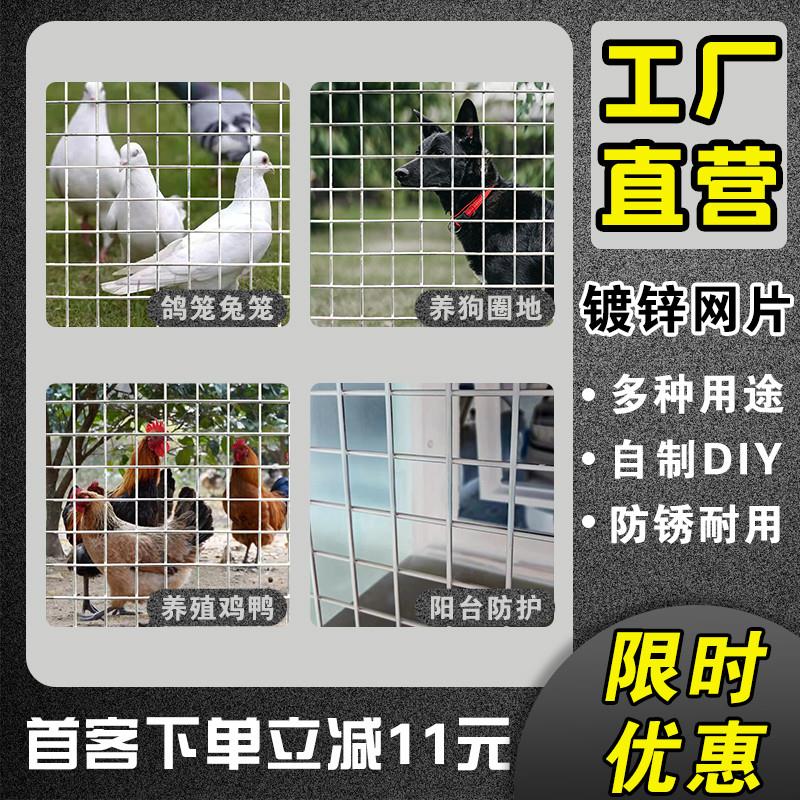 镀锌铁丝电焊网片小孔养殖养鸡鸭狗笼兔笼鸽舍网格网建筑防护隔离