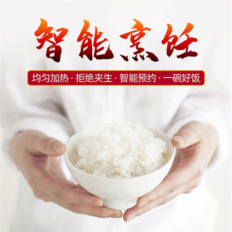 质鼎商用电压力锅特大容量酒店食堂8升13升18L多功能预约高压力锅