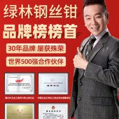 绿林老虎钳电工尖嘴钳工具装 省力手钳钢丝钳子