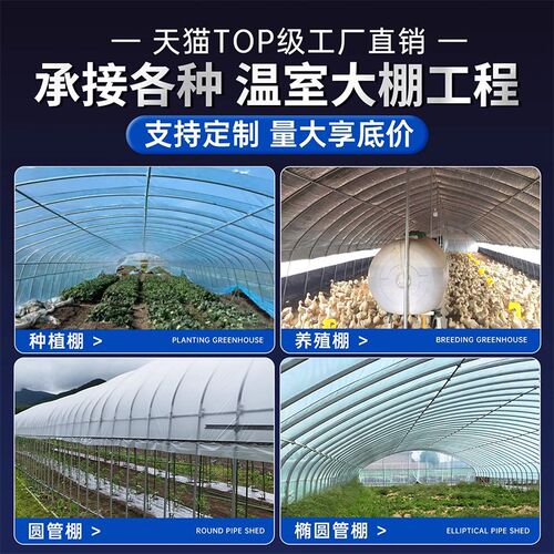 大棚骨架钢管全定制温室养植种植支架拱杆农业蔬菜钢架育苗