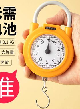 弹簧秤高精度手提称便捷式家用随身带小勾称小型手提多功能电子称