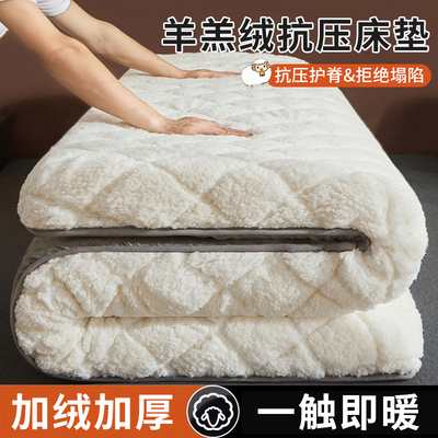 冬季羊羔绒床垫软垫家用秋冬加厚保暖床褥垫宿舍学生单人褥子垫被