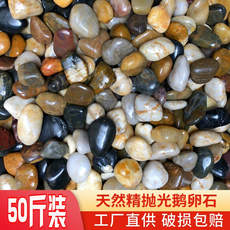 50斤鹅卵石庭院铺路铺地天然大小石头别墅造景雨花石原石鹅软暖石