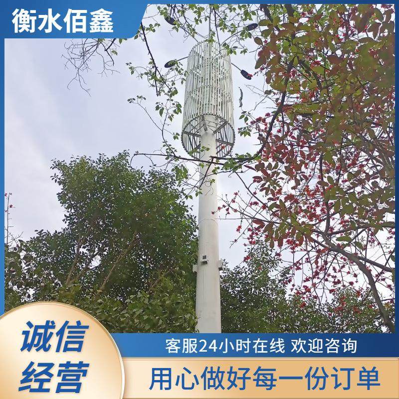 热镀锌钢结构通信塔卫星信号接收通信铁塔独管一体信号铁塔,户外/登山/野营/旅行用品,遮阳篷/雨篷/车篷/广告篷,淘宝优惠券,粉丝福利购,淘宝优惠卷