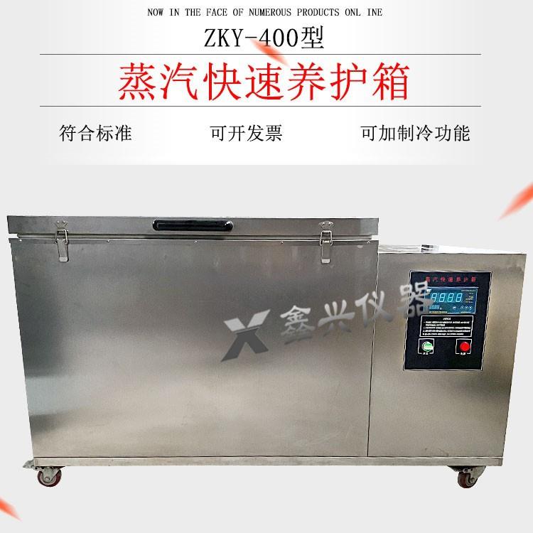 ZKY-400混凝土蒸汽快速养护箱混凝土试块蒸汽快速养护箱养护箱
