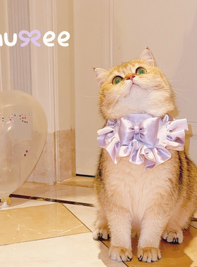 ins风德文猫咪口水巾围兜紫色项圈原创围脖领结饰品金渐层英短