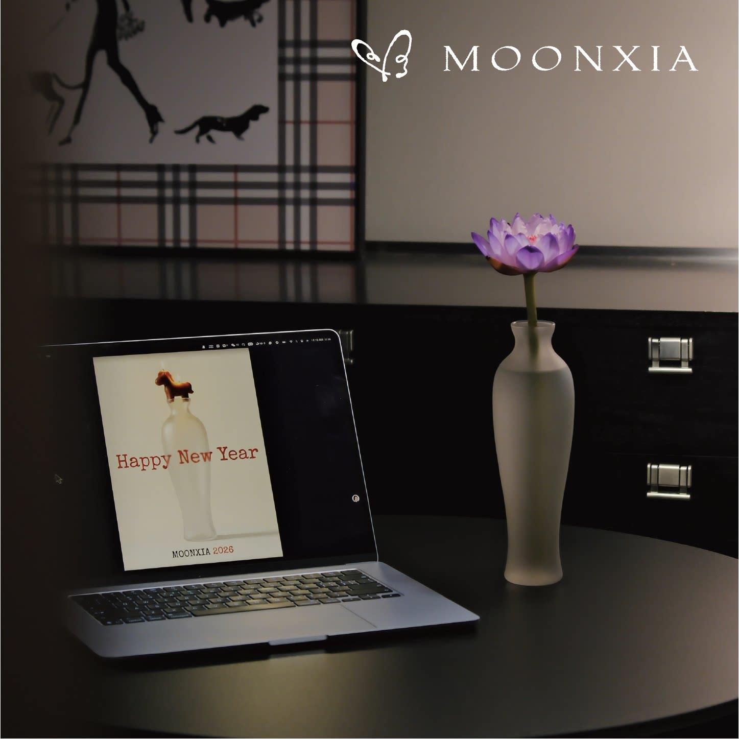 MOONXIA「观音净瓶」磨砂版 高级感插画花花瓶玻璃花瓶简约客厅