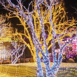 挂树上的彩灯闪灯串灯满天星户外装饰缠树灯led夜景树灯绕树灯带