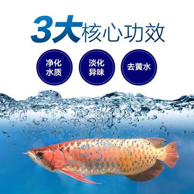 奇罗芬官营店鱼缸净水剂一滴清净化水质杀菌培菌养水分解食料粪便