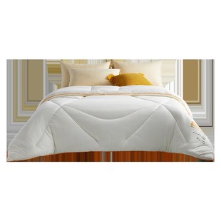 佳丽斯玉米糯糯被冬被加厚保暖儿童被双人2023新款冬季厚被子被芯