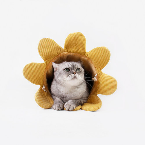 吉仔仔猫咪隧道滚地龙四季宠物床玩具猫窝跑道爬道可折叠帐篷用品