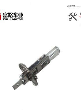 丽驰 富路 电动汽车配件V5 E9 A01 嘉瑞 新 途瑞专用 灯泡 12V55W