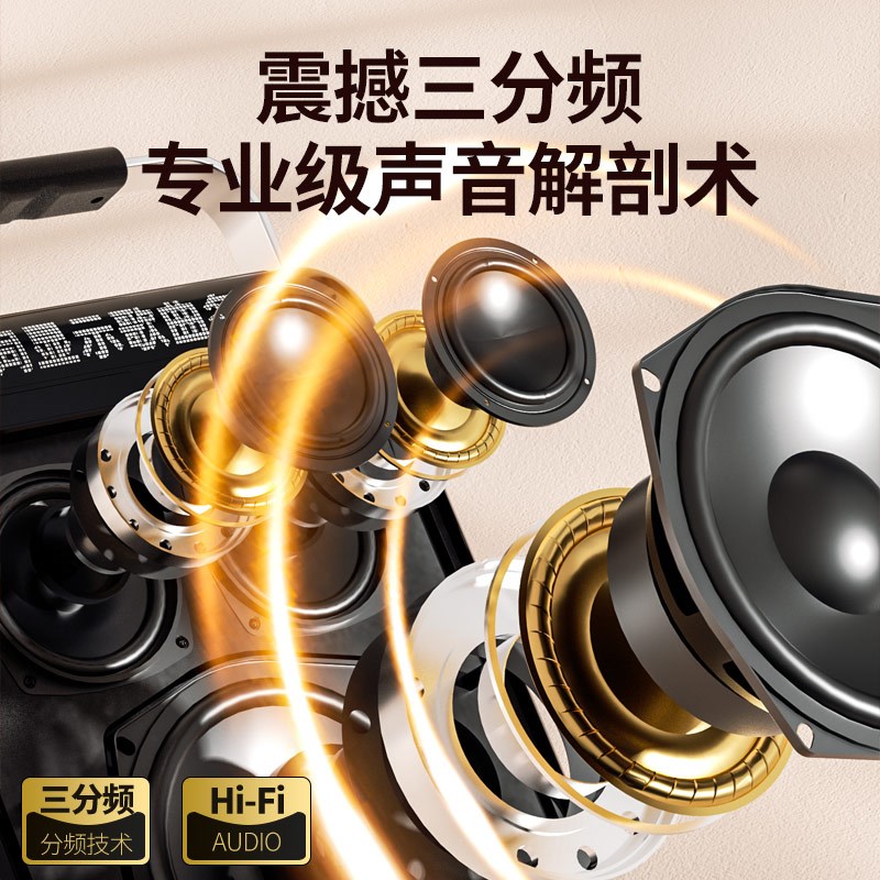 华宝蓝牙音响户外广场舞小音箱大音量k歌手提重低音炮带无线话筒