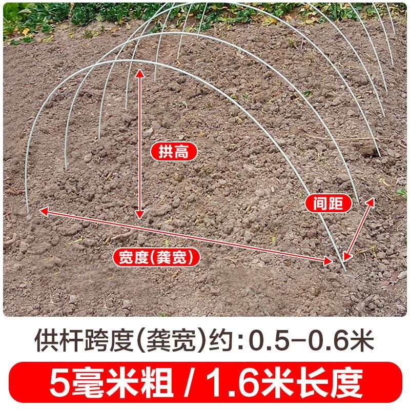 小拱棚支架爬藤杆大鹏夏天遮阳棚小棚菜地高弯曲搭架架子弓子韧性