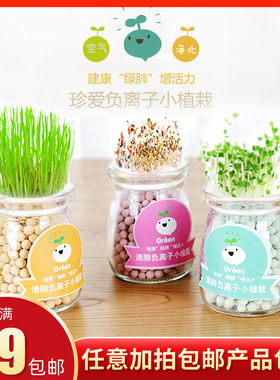 创意diy负离子水培盆栽办公室桌面绿植防辐射植物室内迷你小盆栽