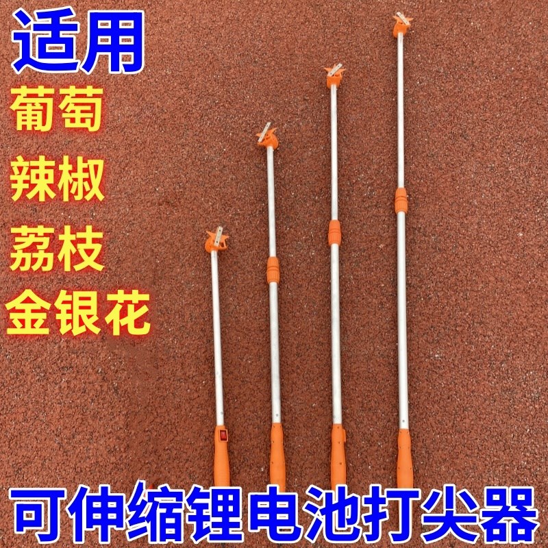 农用电动打尖神器新款果树冬枣豆角甜瓜金银花甜瓜花椒打尖加厚可