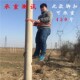 爬杆脚扣水泥杆脚扣电信电力电工脚扣登杆铁鞋 路灯铁杆脚扣脚爬