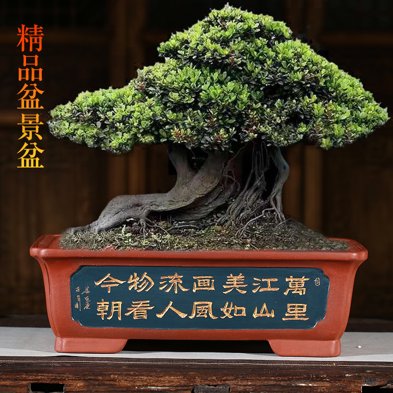 精品紫砂花盆景盆长方形马槽假山造景老桩绿植盆栽带托盘陶瓷花盆
