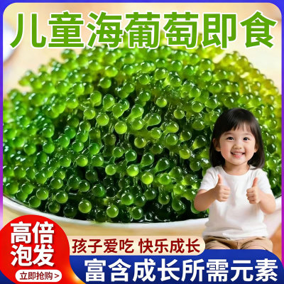 特级海葡萄官方旗舰店儿童营养补充海带零食0脂肪深海捕捞送蘸料