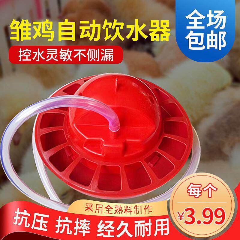 小鸡水器子饮鸭鹅自动喂水鸽器鹌鹑补水器配件雏鸡饮水壶养鸡设备