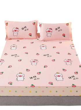 纯棉防水床笠隔尿定制90x190x150x180x200x220薄棕垫套榻榻米床罩