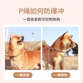 狗狗牵引绳防爆冲P链P绳遛狗防挣脱狗链子中大型犬防爆冲拴狗绳
