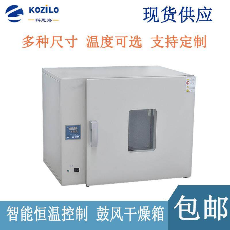供应成都重庆电热鼓风干燥箱专业大学实验恒温烘箱电热烤箱