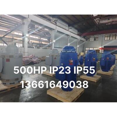 IP23IP55TEFC250千瓦300w350w大功率VHS电机