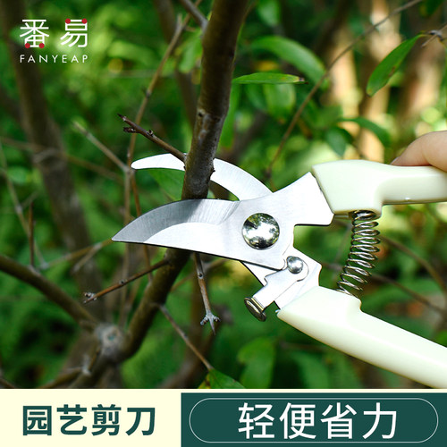修枝剪刀修剪树枝花卉修花剪刀园林园艺伸缩大力剪子家用省力工具