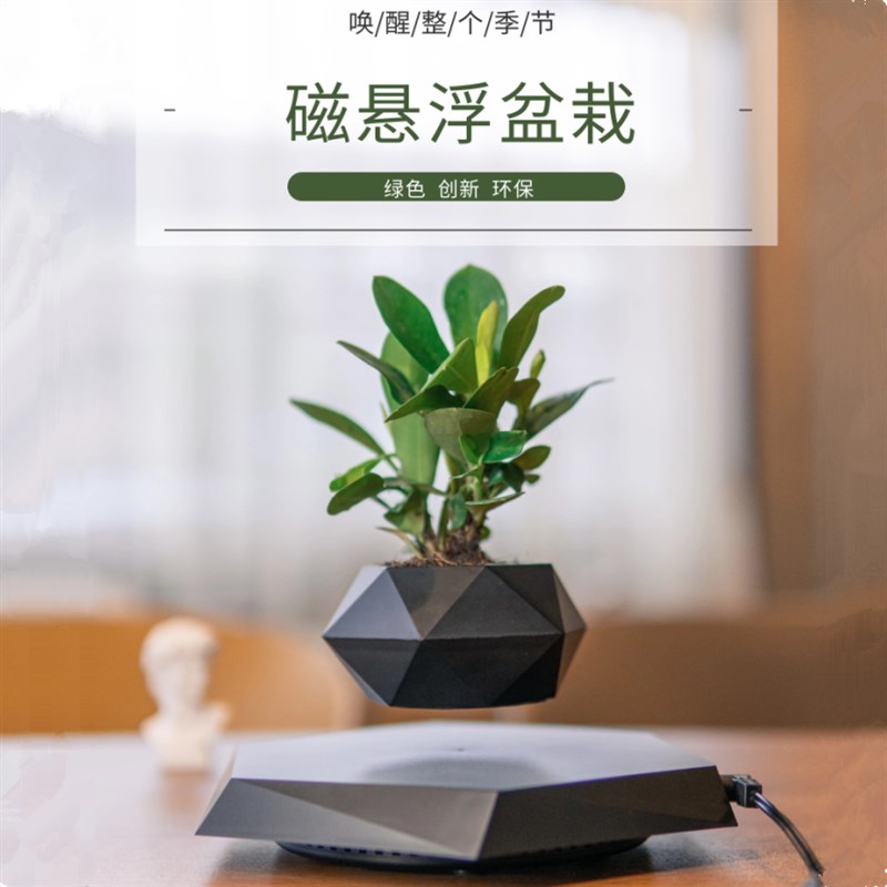 反重力自动旋转磁悬浮花盆情绪稳定办公桌家居摆件花草植物装饰品
