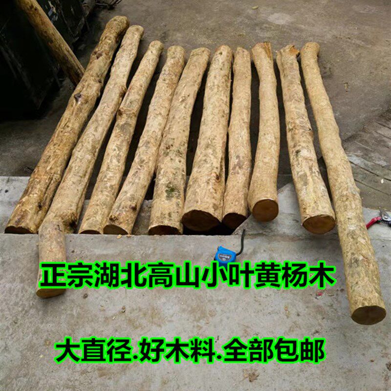 黄杨木木料小叶黄杨木原木段 笔z筒料雕刻木工艺礼品摆饰手把件料