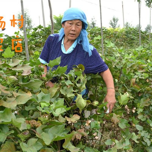 山东手工棉被新棉细长绒棉花垫被芯棉絮棉胎褥子空调被子春秋冬被